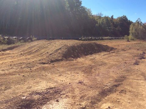 A dirt field with trees in the background on a sunny day.