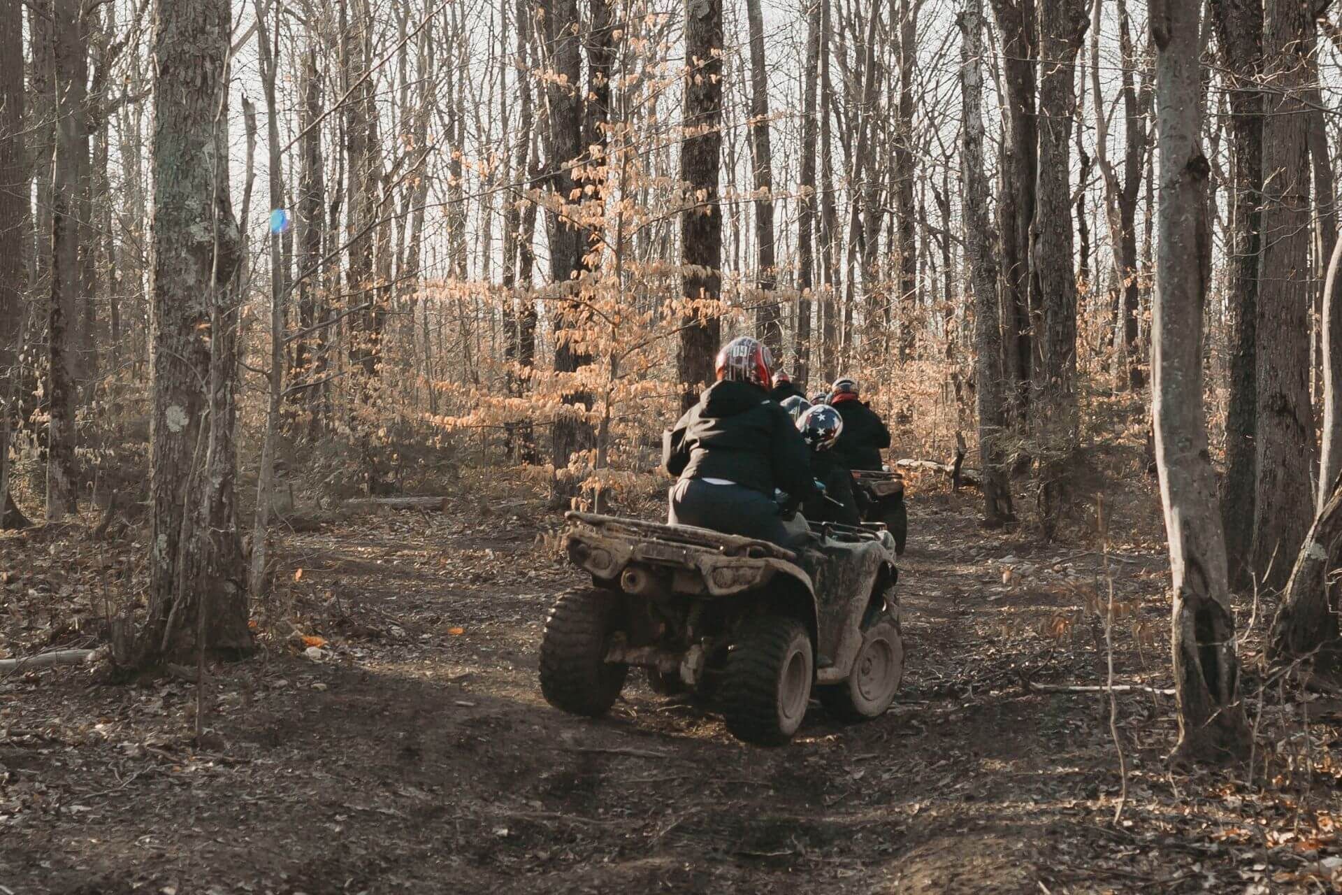 A couple of people are riding an atv in the woods.