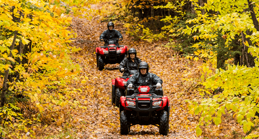 A group of people are riding atvs down a trail in the woods.