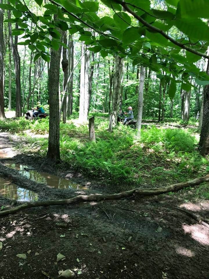 A person is sitting on a bench in the middle of a forest.