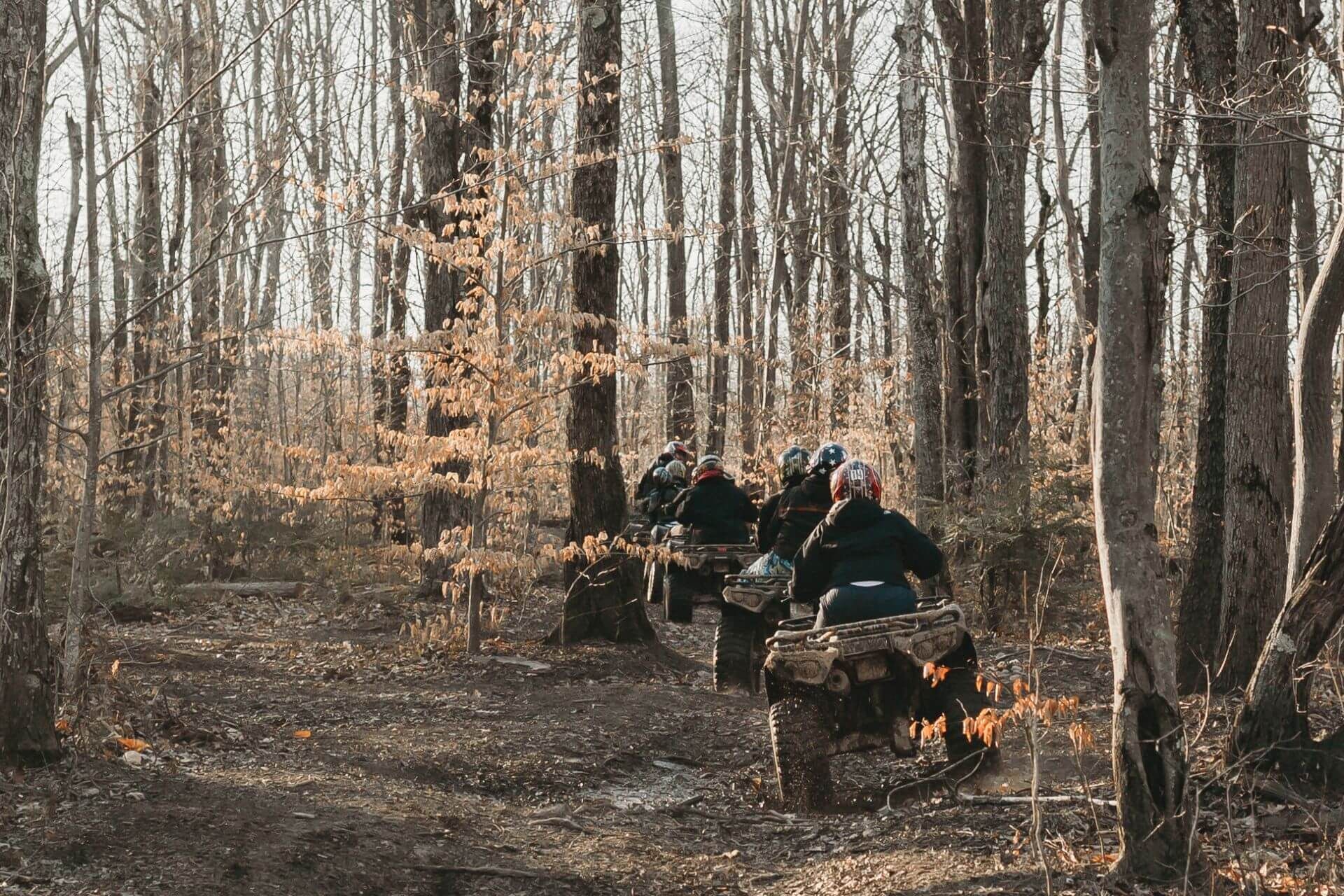 A group of people are riding atvs through the woods.
