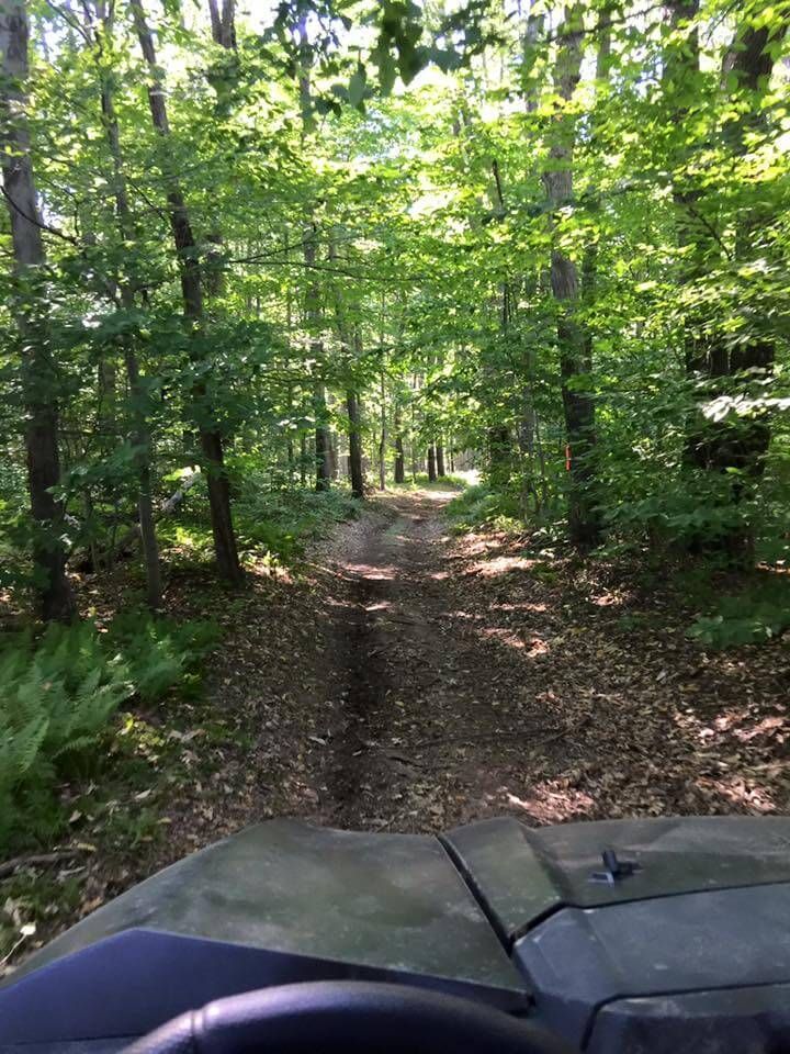 A jeep is driving down a dirt road in the woods.