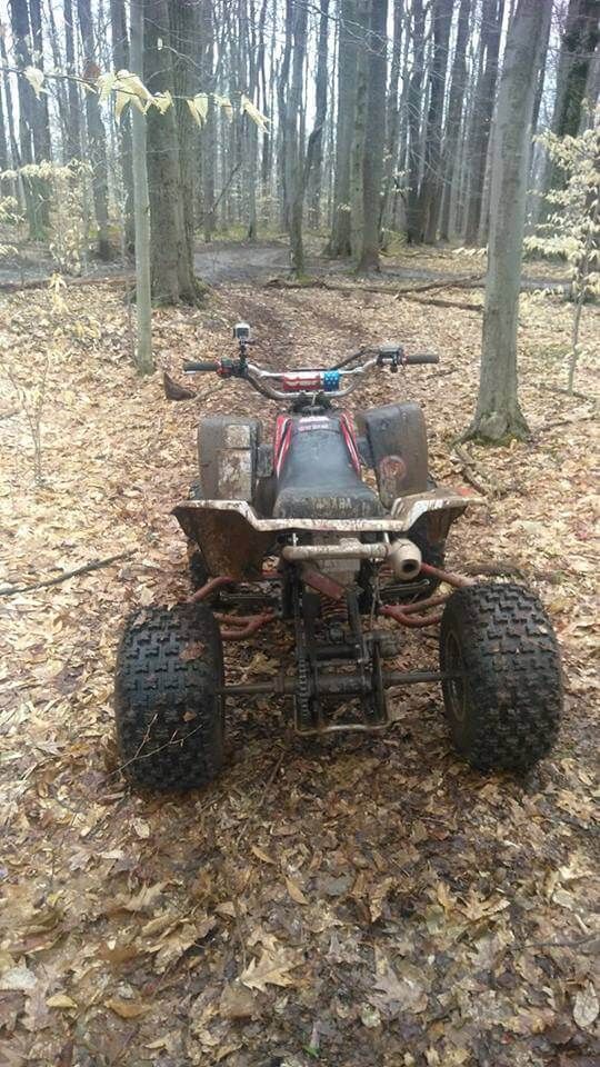 A atv is parked in the middle of a forest covered in leaves.