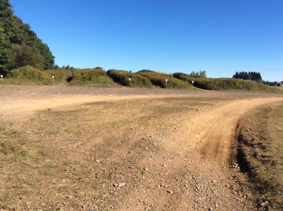 A dirt road going through a field with trees in the background