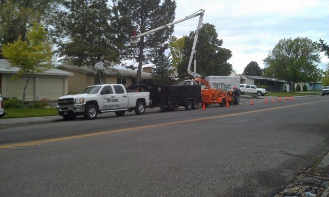 Tree Removal — Fernrifge Service Beside the Road in Firth, ID