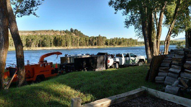 Trimming —  Fernrifge Car Service Besides Lake, ID
