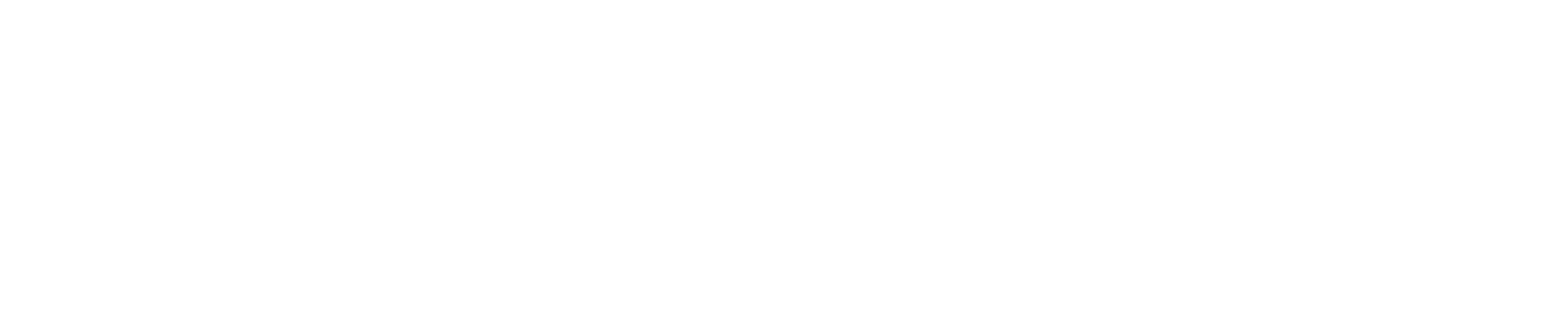 The logo of Higher Soul Consulting