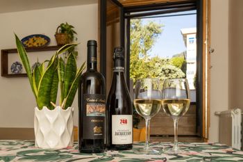 Bottiglie di vino e due bicchieri pieni su un tavolo accanto a una pianta di sansevieria in vaso, vicino a una finestra aperta.