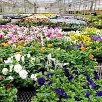 Landscaping for your yard