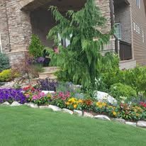 Landscaped Yard