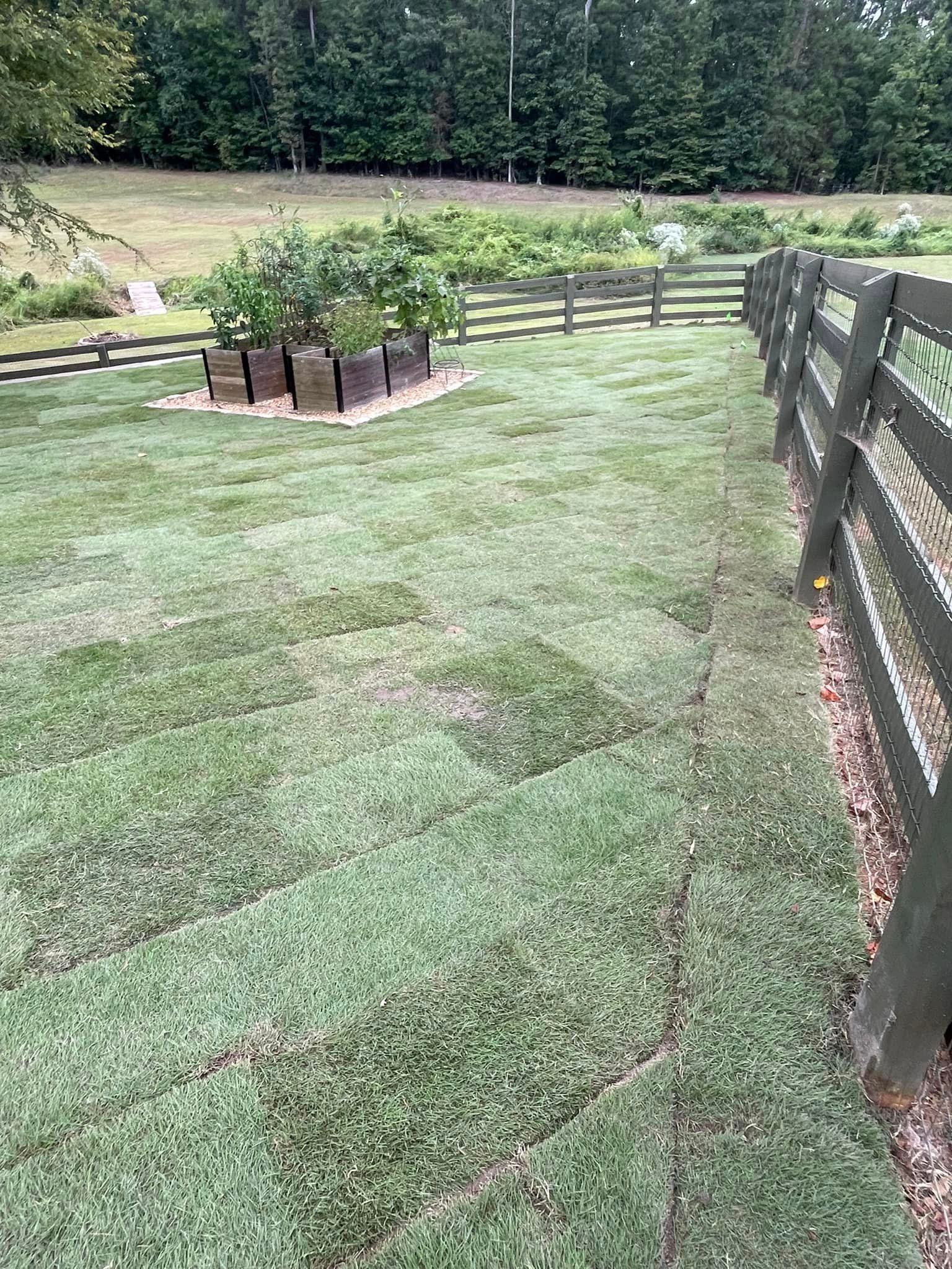 Sod Installation
