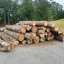 Tree Removal and Stump Grinding
