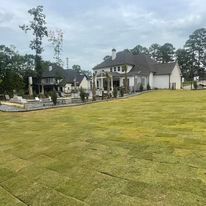 Installing Sod to Improve the Landscape