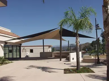 A building with a palm tree in front of it