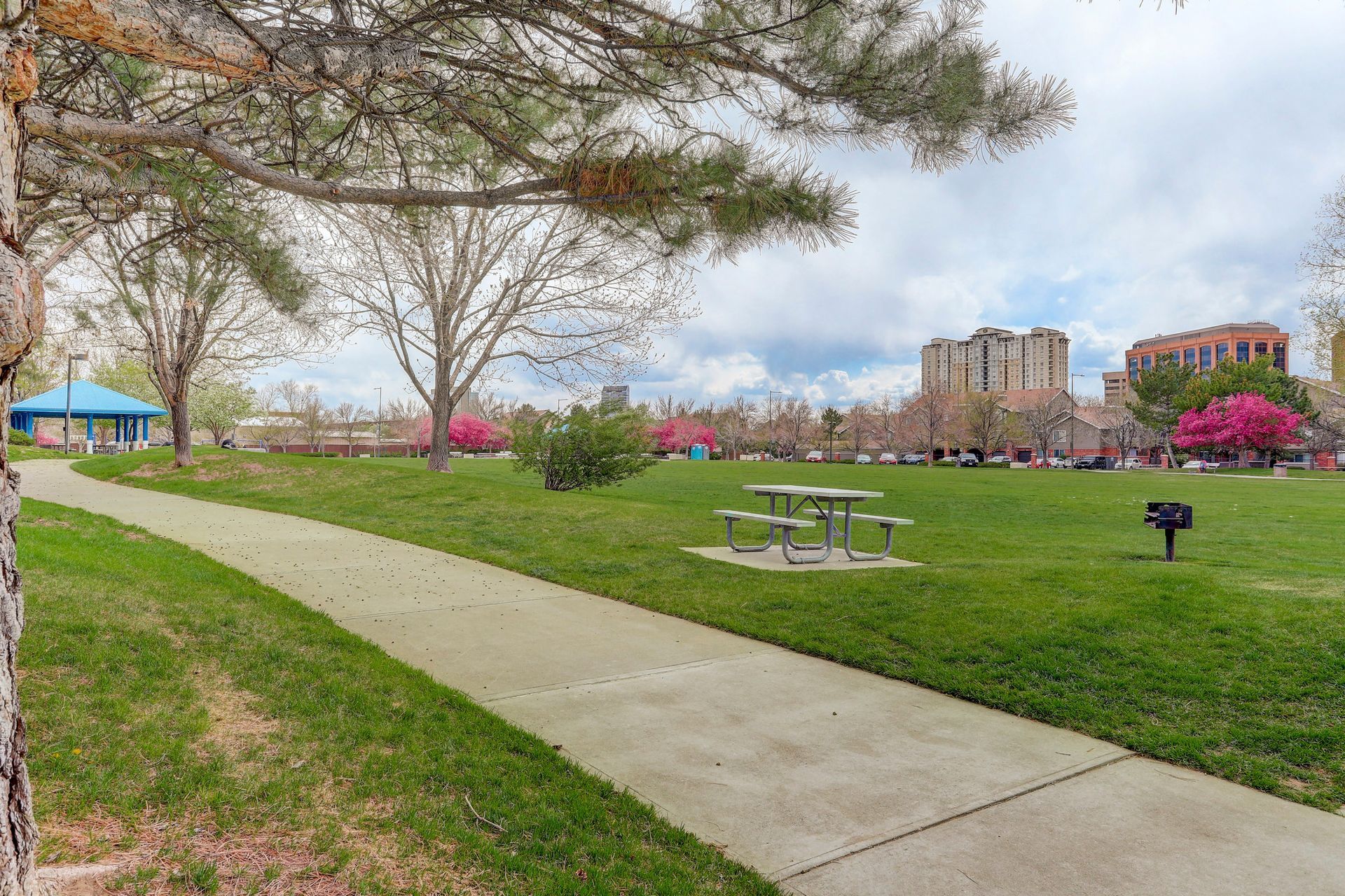 there is a picnic table in the middle of the park .