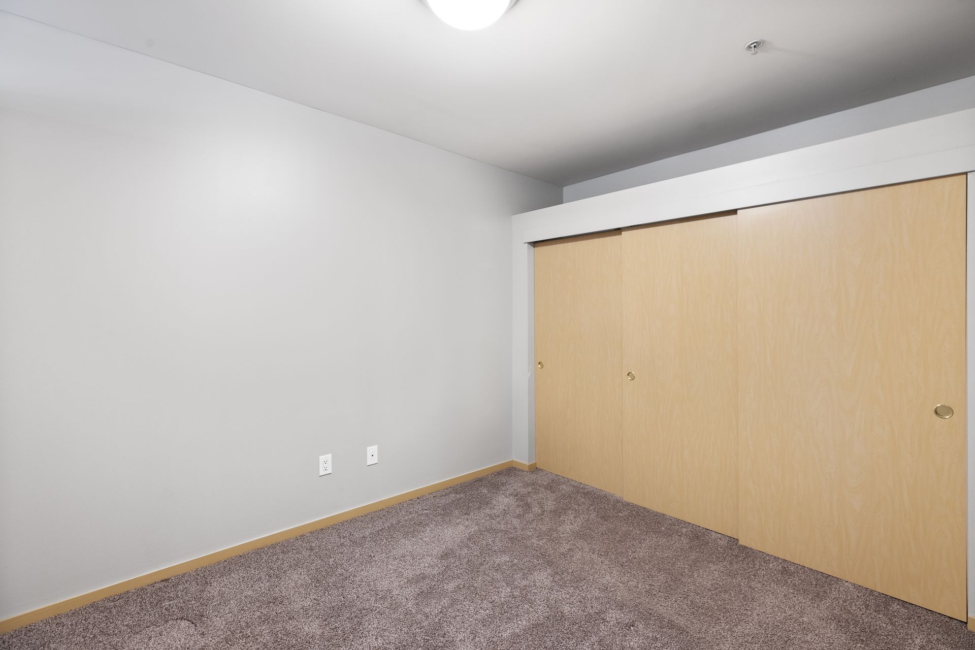 an empty bedroom with a closet and a carpeted floor .