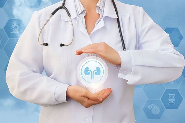 DR. DAVID JACQUES PACHECO BOUTHILLIER