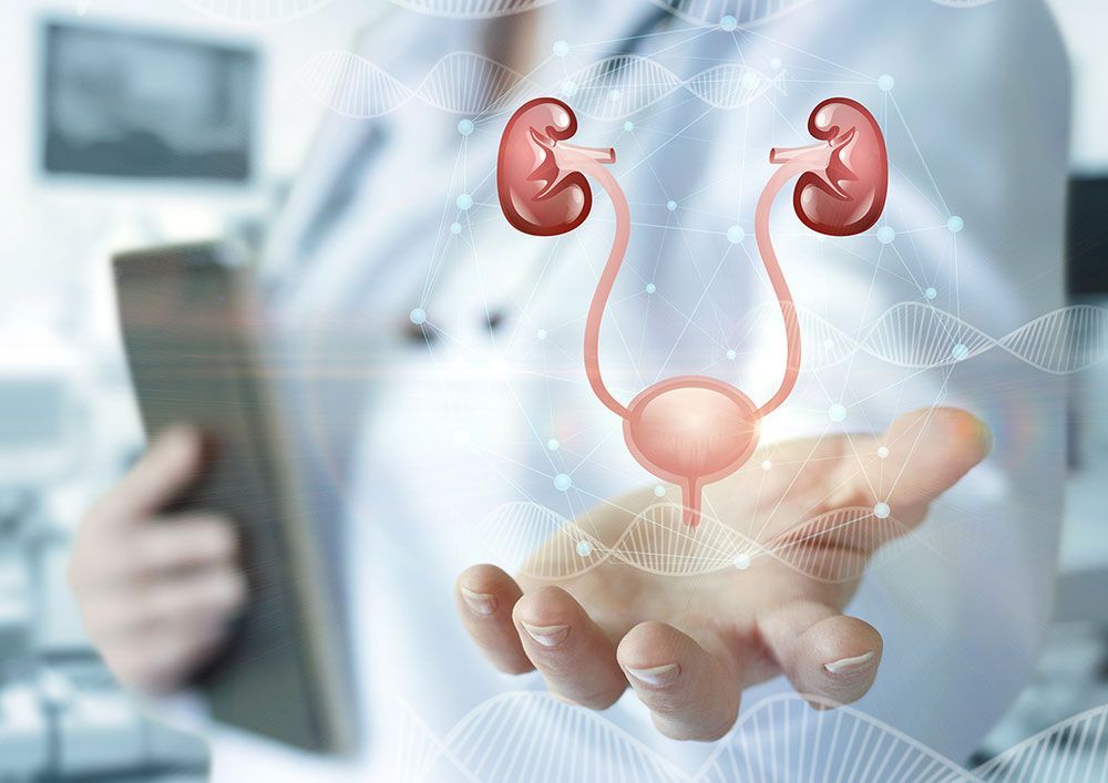 DR. DAVID JACQUES PACHECO BOUTHILLIER