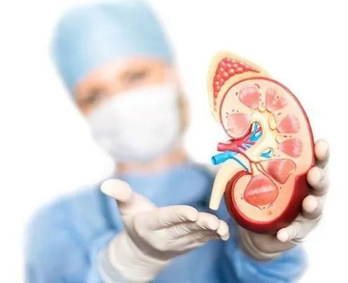 DR. DAVID JACQUES PACHECO BOUTHILLIER