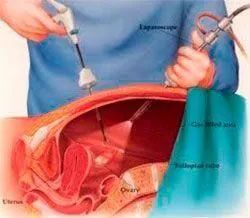 DR. DAVID JACQUES PACHECO BOUTHILLIER