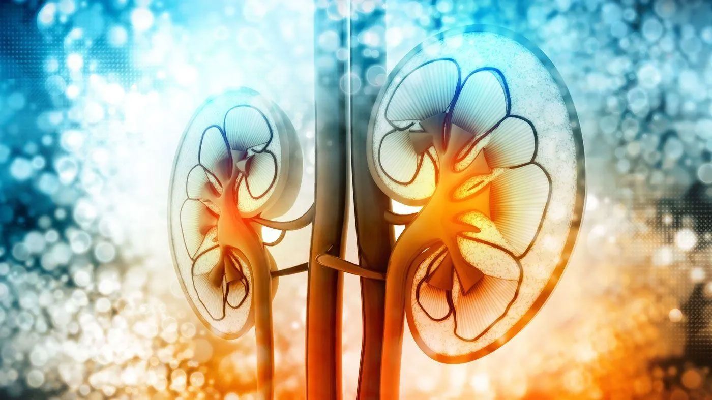 DR. DAVID JACQUES PACHECO BOUTHILLIER