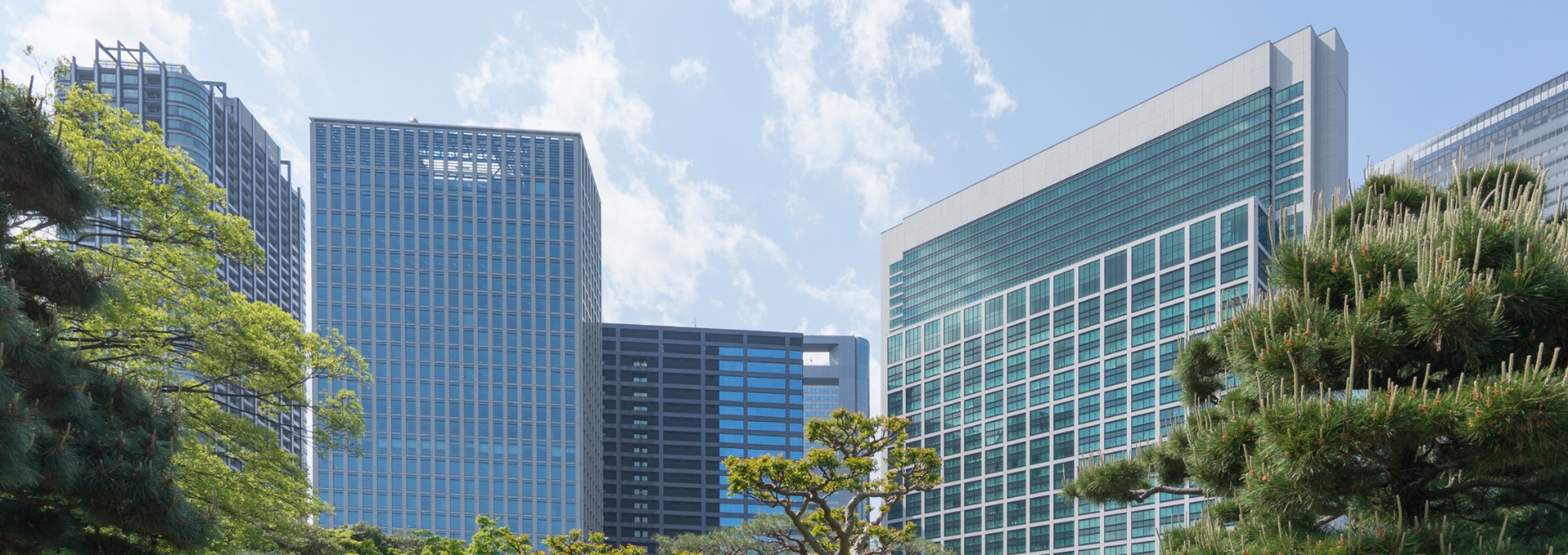 Accompagnement d’une banque-conseil internationale de premier plan dans sa stratégie de pénétration du marché africain