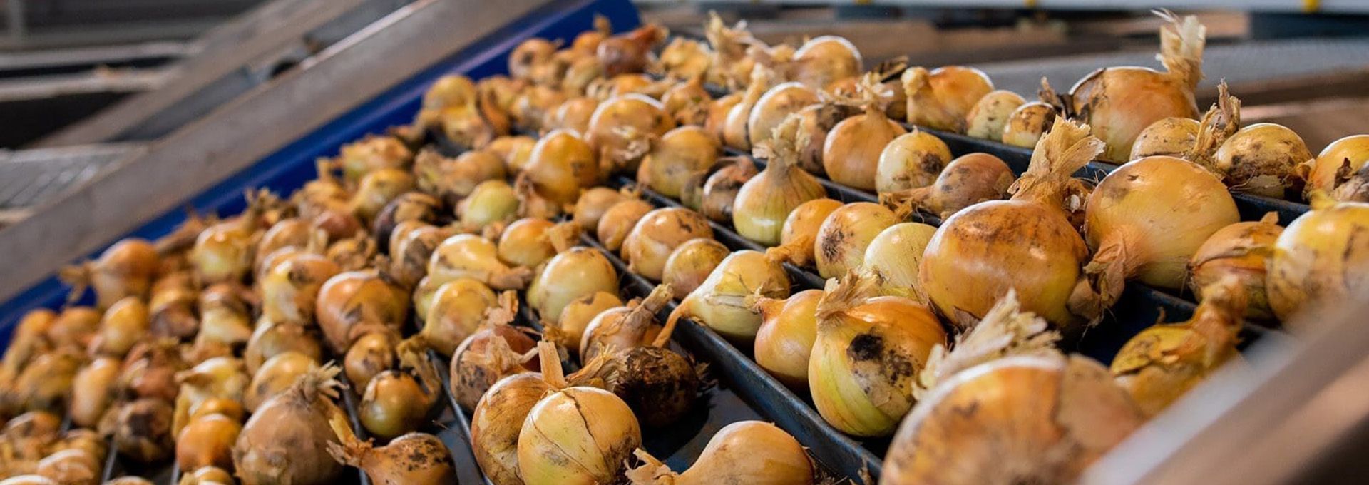 SAF leve 18 milliards de FCFA (30 millions EUR) pour un projet dans l'agroalimentaire