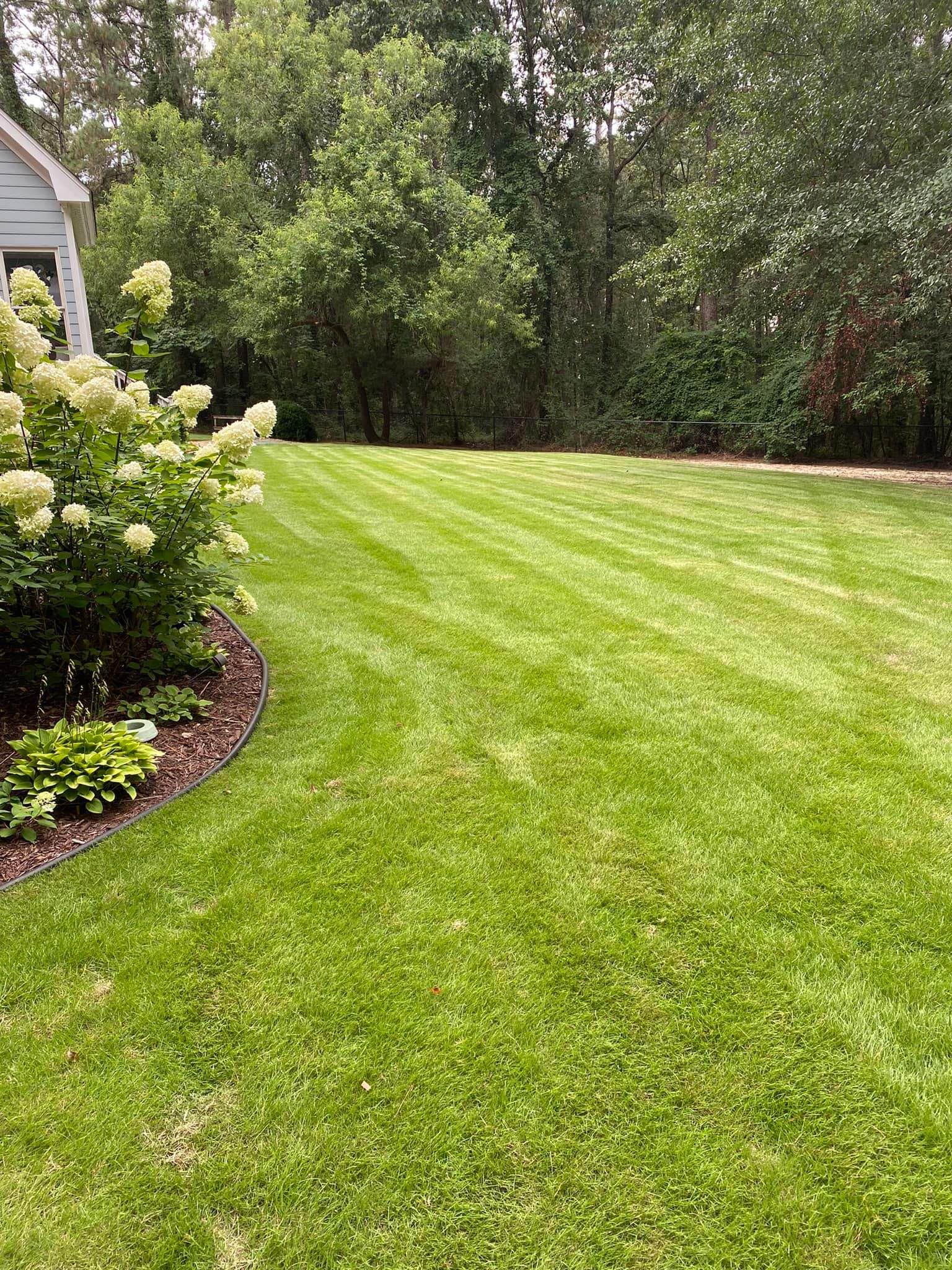 A lush green lawn in front of a house with trees in the background.