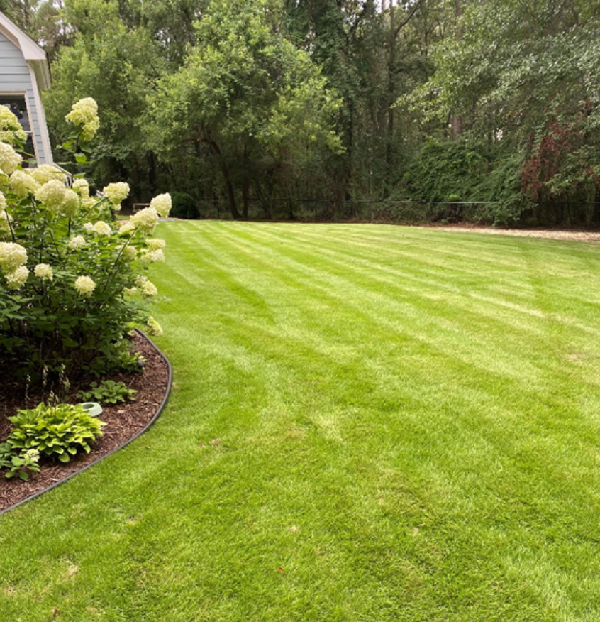 A lush green lawn with trees in the background and a house in the background.