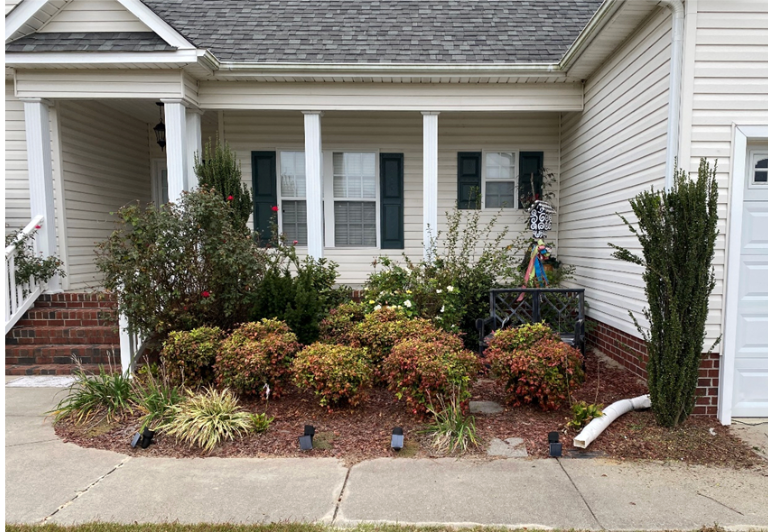 A white house with a lot of plants in front of it