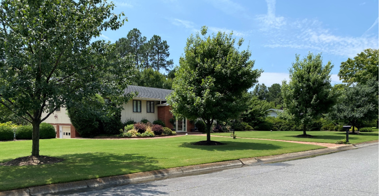 A house is sitting on top of a lush green lawn surrounded by trees.