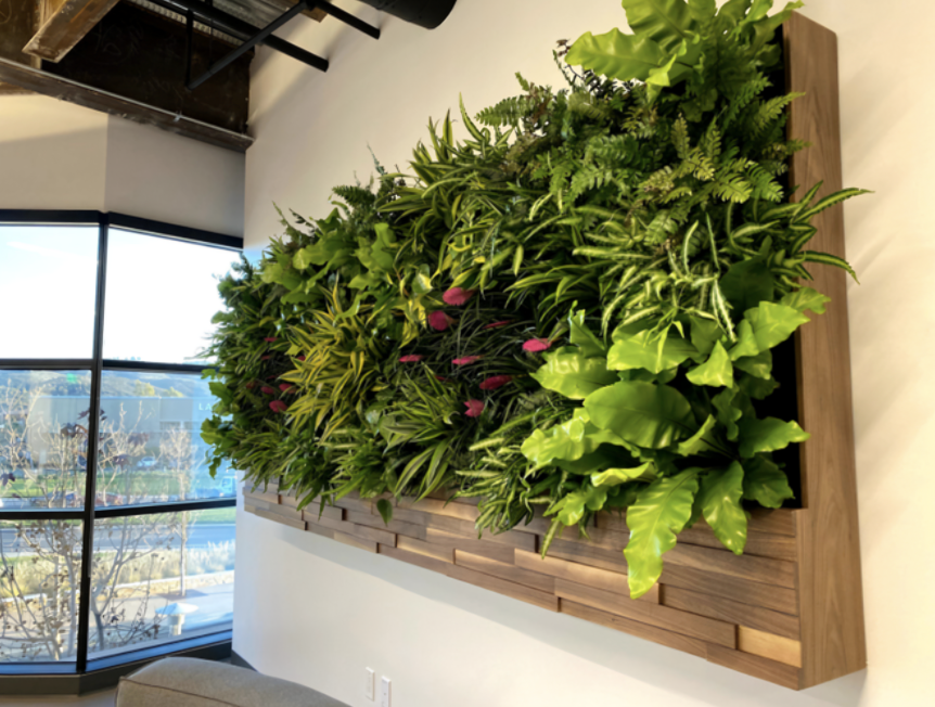 A living wall is hanging on a wall next to a window.