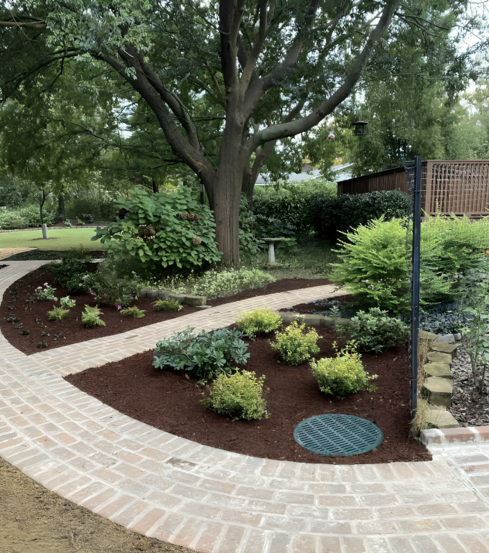 A brick walkway in a garden with trees and bushes