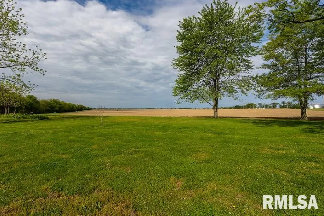 A lush green field with trees in the foreground and a field in the background.
