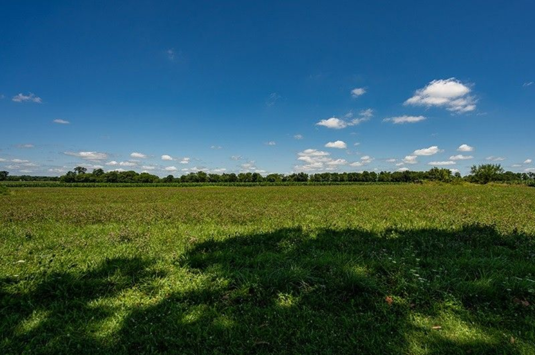 There is a shadow of a tree on the grass in the middle of a field.