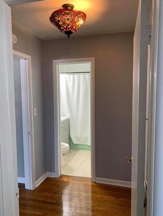 A hallway leading to a bathroom with a toilet and shower curtain.