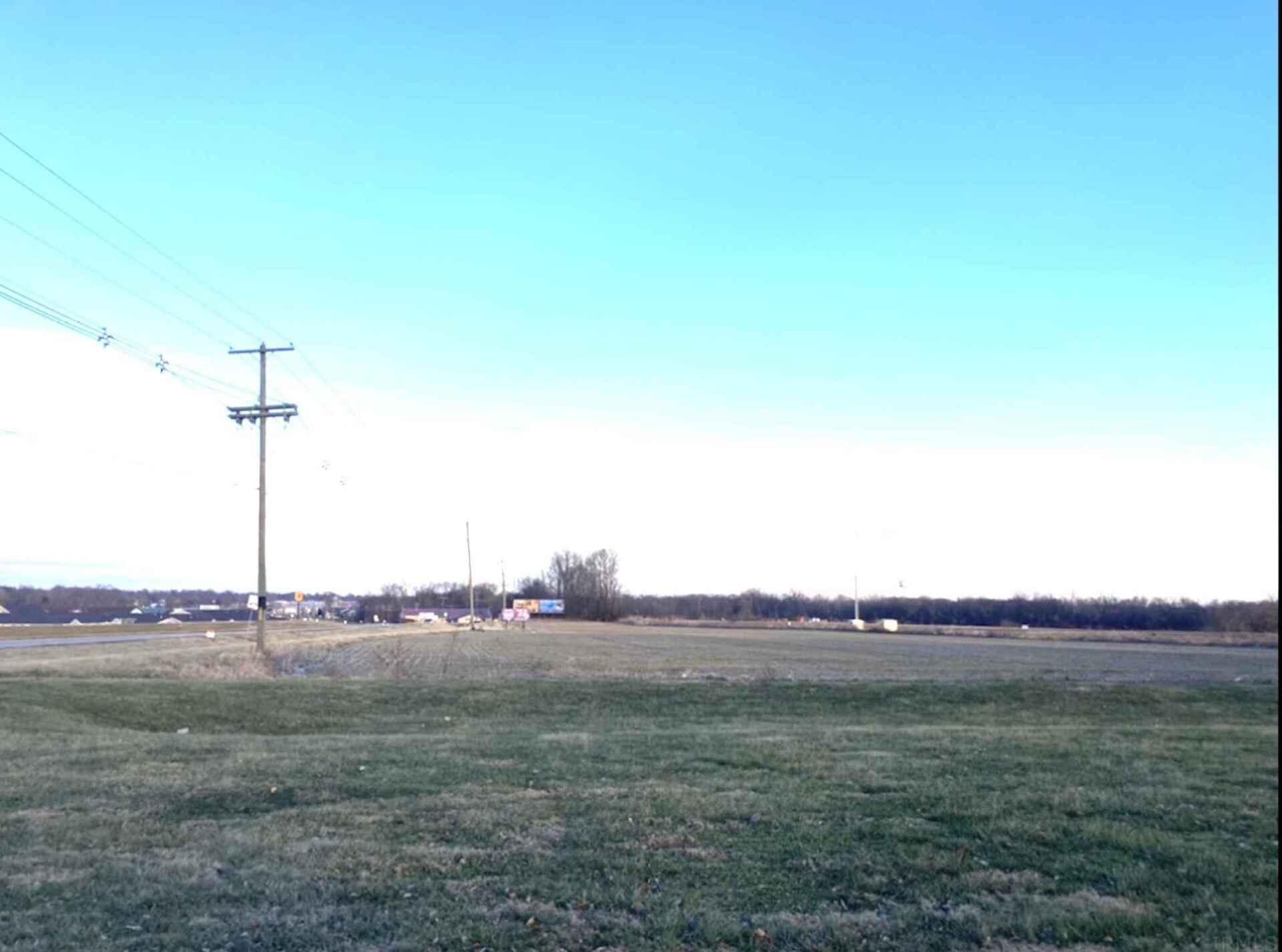 A field with a lot of grass and power lines in the background.
