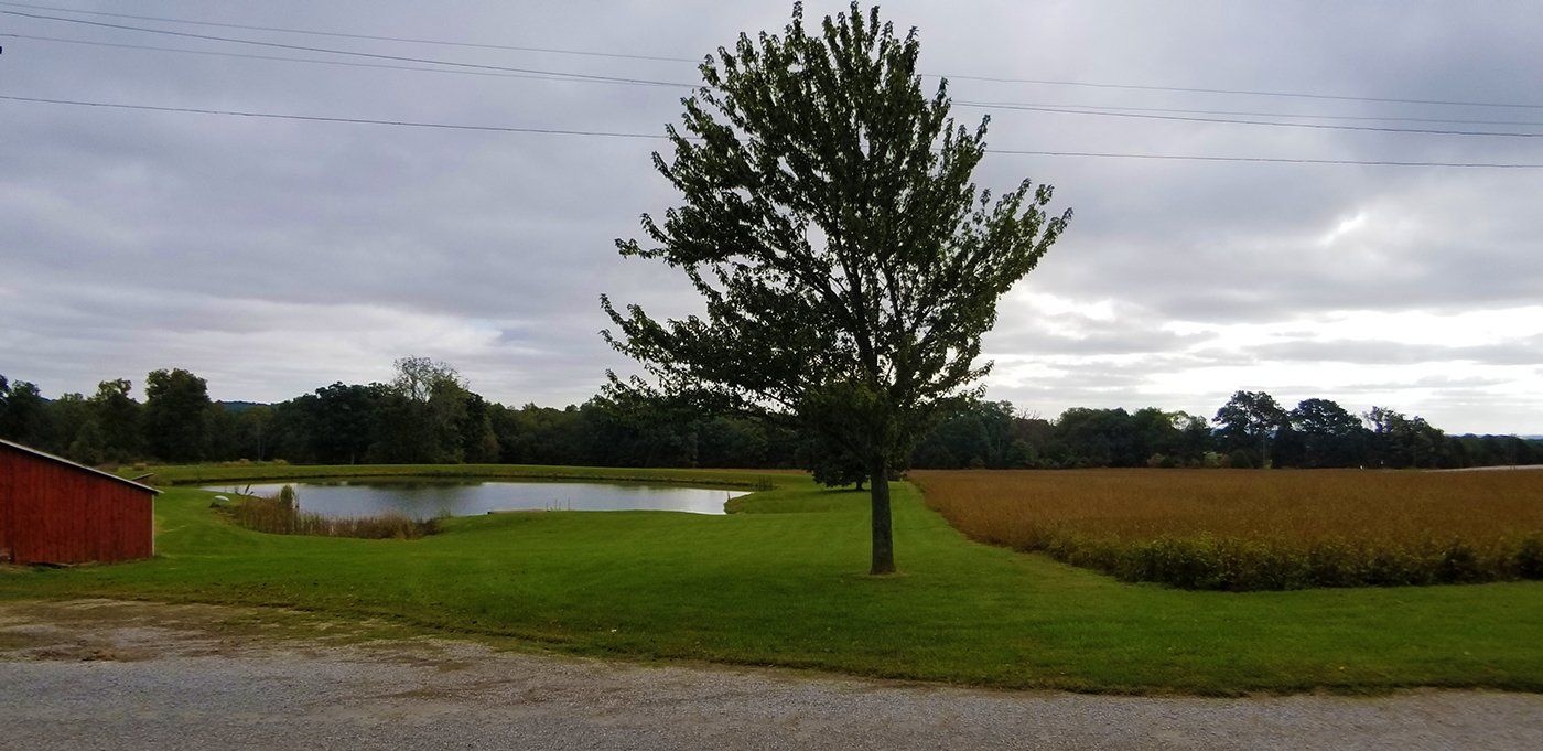 A red barn sits in the middle of a grassy field