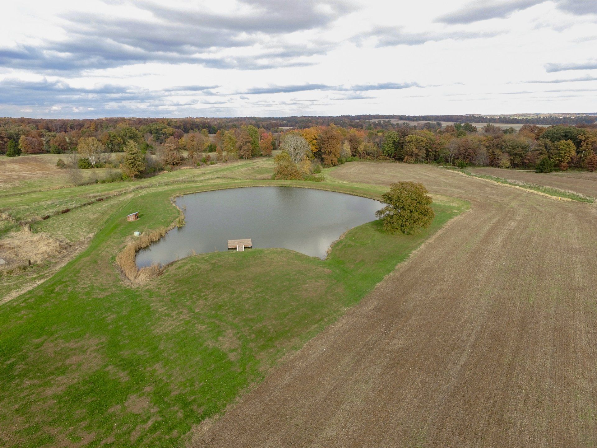 An aerial view of a small pond in the middle of a field.
