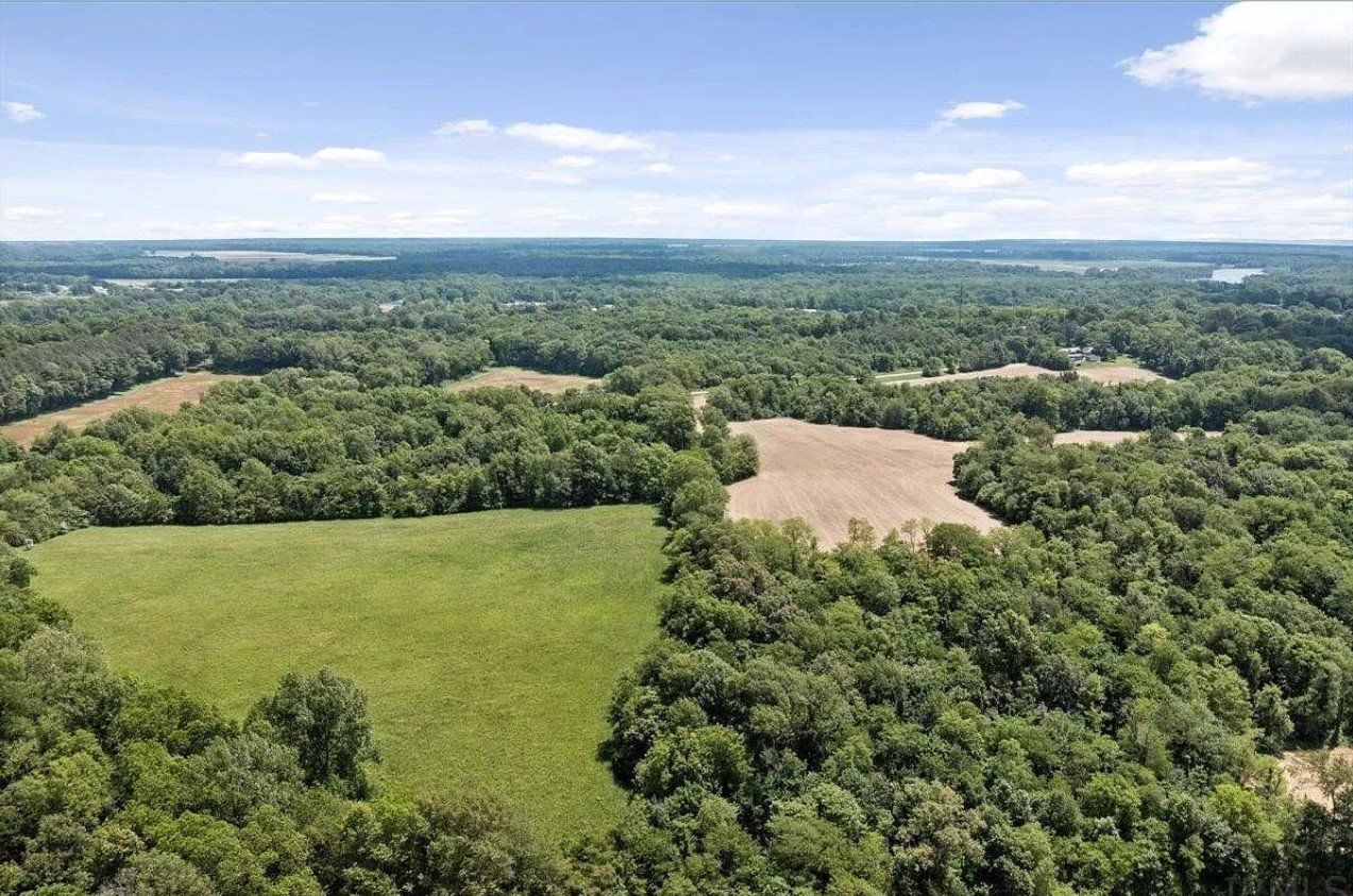 An aerial view of a lush green forest with a field in the middle.