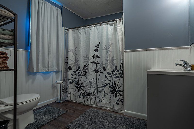 A bathroom with a toilet , sink and shower curtain.
