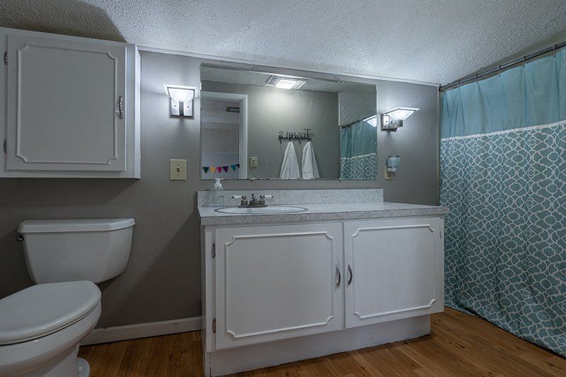 A bathroom with a toilet , sink , mirror and shower curtain.