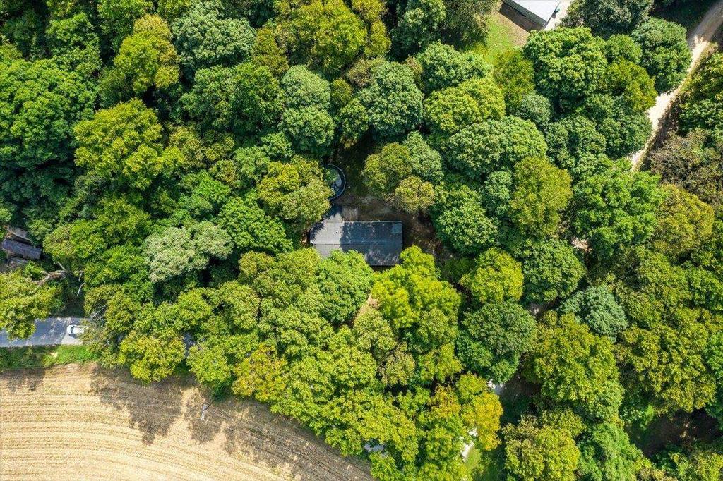 An aerial view of a lush green forest with a house in the middle of it.