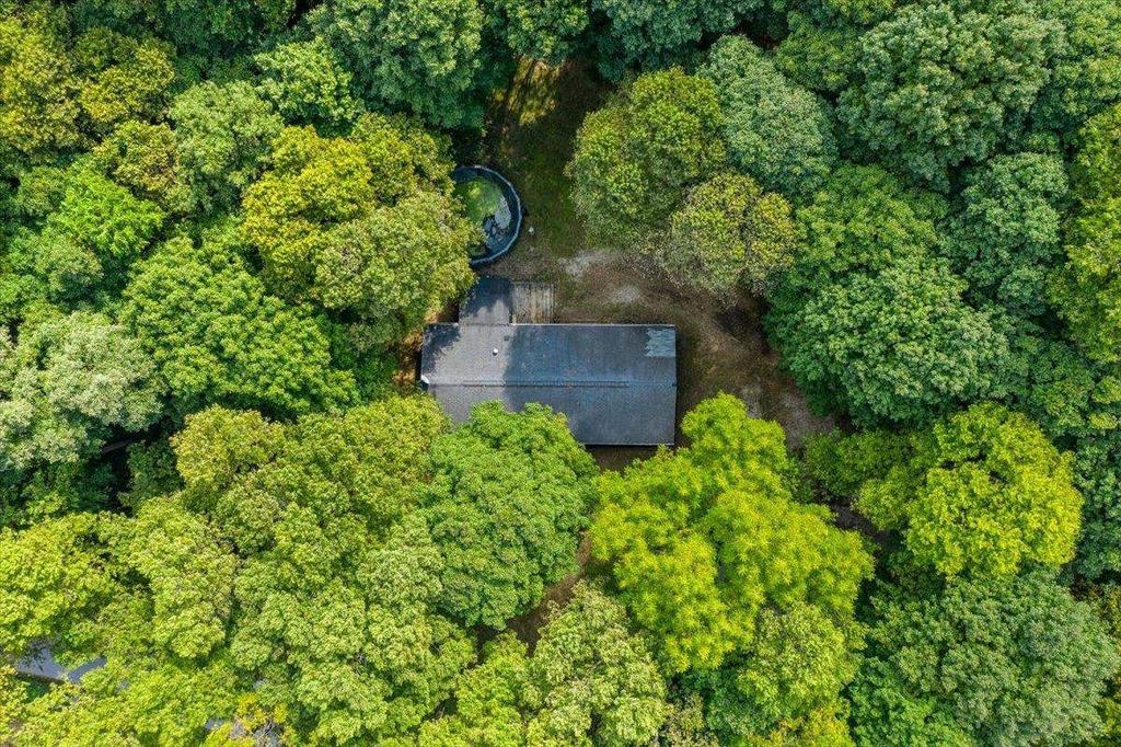 An aerial view of a house in the middle of a lush green forest.
