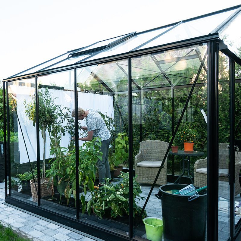 Person Inside Greenhouse