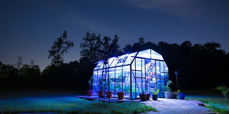 Greenhouse At Night