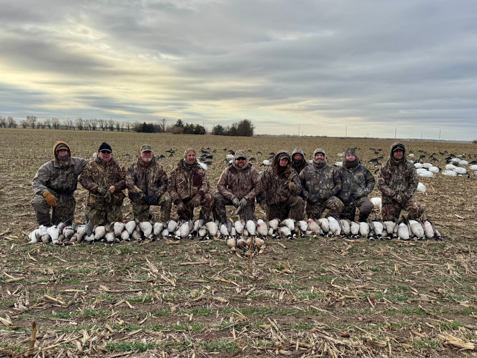 Group of hunters kneeling in a field with a row of harvested geese. Cloudy sky in the background.