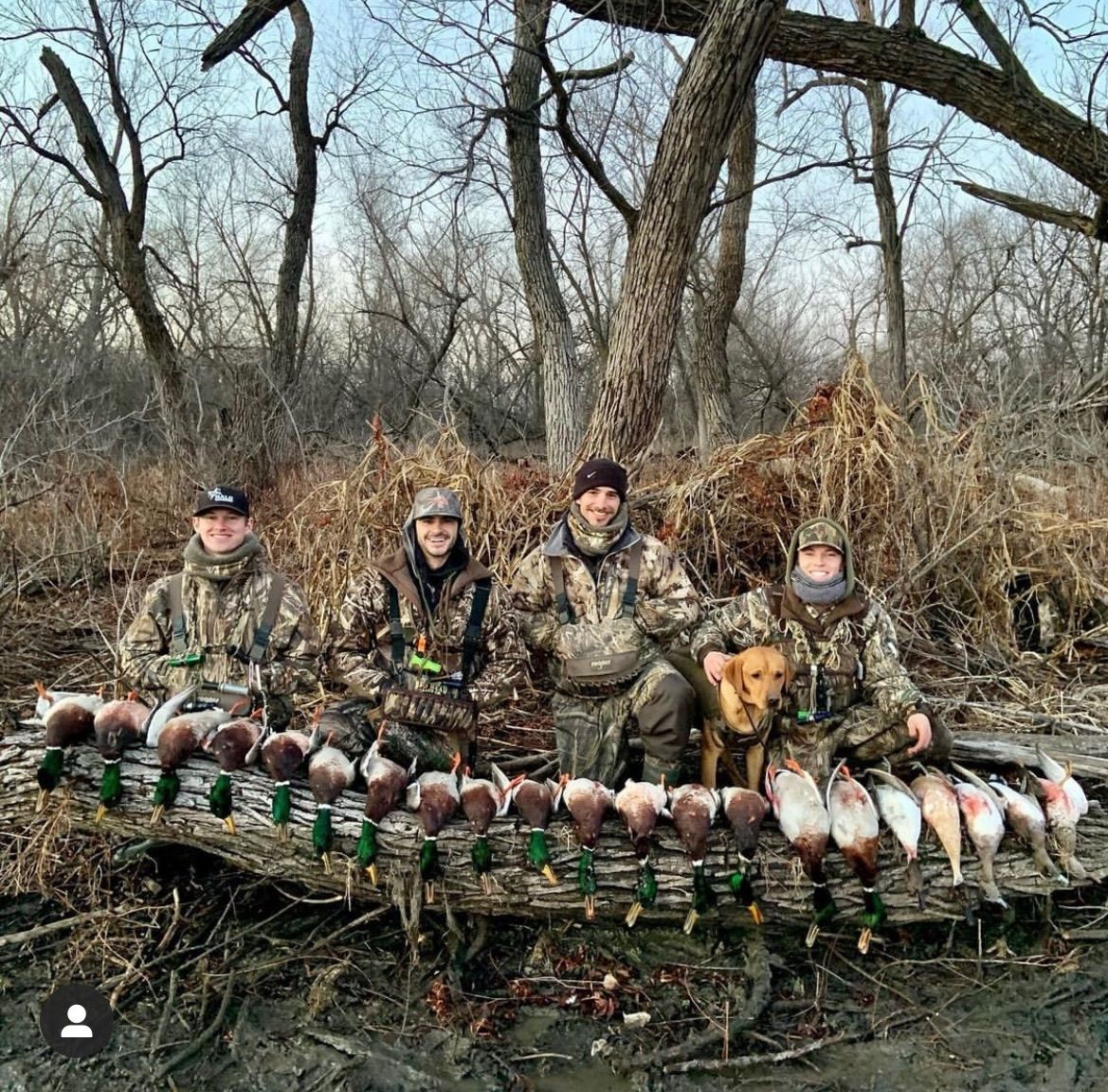 Four hunters and a dog pose with a large pile of ducks on a log in a wetland.