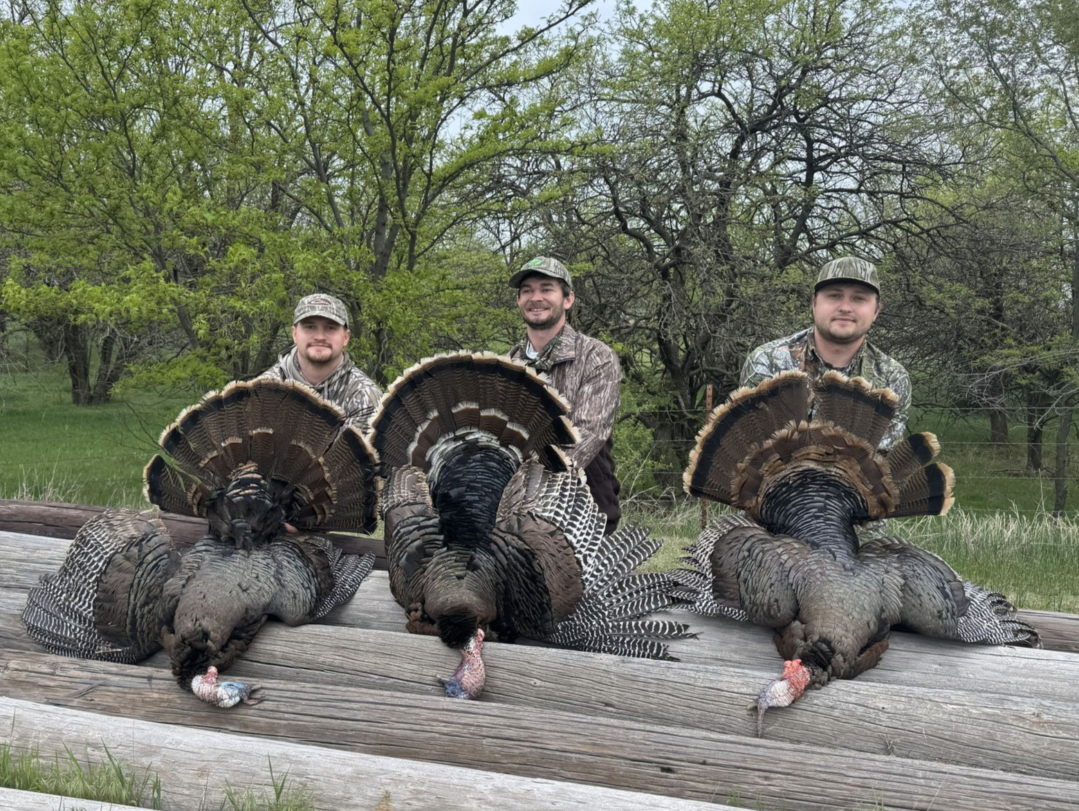 Three people pose with three turkeys they've hunted outdoors, holding the birds by their legs.