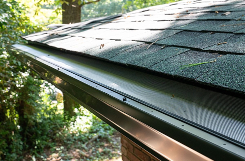 Dark green gutter with mesh screen in North Little Rock, sunlight on shingles and foliage in the background.